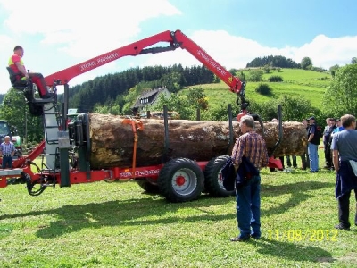 Lumberjack 2012_45