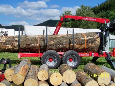 Lumberjack 2012_46