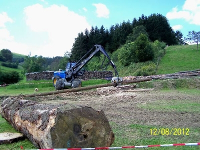 Lumberjack 2012_110